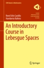 Image for An introductory course in Lebesgue spaces