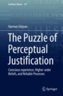 Image for Puzzle of Perceptual Justification: Conscious experience, Higher-order Beliefs, and Reliable Processes