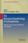 Image for The Neuropsychopathology of Schizophrenia