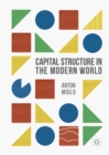 Image for Capital structure in the modern world