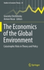 Image for The economics of the global environment  : catastrophic risks in theory and policy