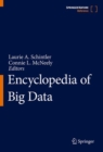 Image for Encyclopedia of Big Data