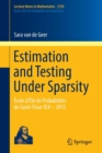 Image for Estimation and Testing Under Sparsity