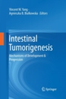 Image for Intestinal Tumorigenesis : Mechanisms of Development &amp; Progression