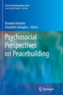 Image for Psychosocial Perspectives on Peacebuilding