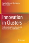 Image for Innovation in Clusters : Understanding Universities, Special Economic Zones, and Modeling