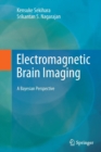 Image for Electromagnetic Brain Imaging