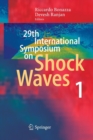 Image for 29th International Symposium  on Shock Waves 1