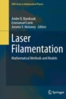 Image for Laser Filamentation : Mathematical Methods and Models