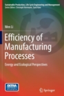 Image for Efficiency of Manufacturing Processes