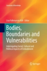 Image for Bodies, Boundaries and Vulnerabilities : Interrogating Social, Cultural and Political Aspects of Embodiment