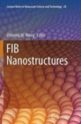 Image for FIB Nanostructures