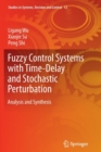 Image for Fuzzy Control Systems with Time-Delay and Stochastic Perturbation