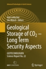 Image for Geological Storage of CO2 – Long Term Security Aspects
