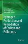 Image for Hydrogen Production and Remediation of Carbon and Pollutants