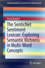 Image for The SenticNet sentiment lexicon: exploring semantic richness in multi-word concepts