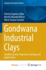 Image for Gondwana Industrial Clays : Tandilia System, Argentina-Geology and Applications