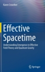 Image for Effective Spacetime