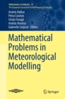 Image for Mathematical problems in meteorological modelling