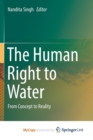 Image for The Human Right to Water : From Concept to Reality
