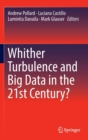 Image for Whither Turbulence and Big Data in the 21st Century?