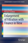 Image for Enlargement of Filtration with Finance in View
