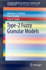 Image for Type-2 fuzzy granular models