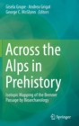 Image for Across the Alps in Prehistory