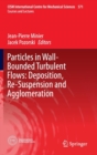 Image for Particles in wall-bounded turbulent flows  : deposition, re-suspension and agglomeration