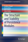 Image for The Structure and Stability of Persistence Modules