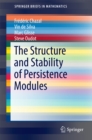 Image for Structure and Stability of Persistence Modules
