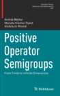 Image for Positive Operator Semigroups