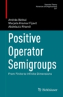 Image for Positive Operator Semigroups: From Finite to Infinite Dimensions : 257