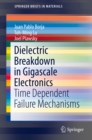 Image for Dielectric Breakdown in Gigascale Electronics: Time Dependent Failure Mechanisms