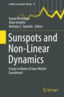 Image for Sunspots and Non-Linear Dynamics: Essays in Honor of Jean-Michel Grandmont : 31