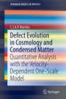 Image for Defect Evolution in Cosmology and Condensed Matter