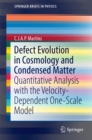 Image for Defect evolution in cosmology and condensed matter: quantitative analysis with the velocity-dependent one-scale model