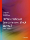 Image for 30th International Symposium on Shock Waves 2  : ISSW30Volume 2