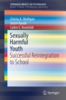 Image for Sexually harmful youth  : successful reintegration to school