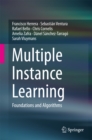 Image for Multiple Instance Learning: Foundations and Algorithms