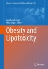 Image for Obesity and lipotoxicity