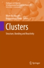 Image for Clusters: Structure, Bonding and Reactivity