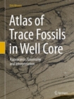 Image for Atlas of Trace Fossils in Well Core : Appearance, Taxonomy and Interpretation