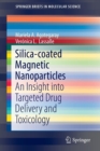 Image for Silica-coated Magnetic Nanoparticles