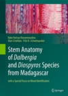 Image for Stem anatomy of Dalbergia and Diospyros species from Madagascar  : with a special focus on wood identification