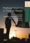 Image for Political Islam in a Time of Revolt