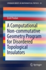Image for A Computational Non-commutative Geometry Program for Disordered Topological Insulators