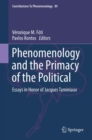 Image for Phenomenology and the primacy of the political: essays in honor of Jacques Taminiaux