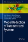 Image for Model Reduction of Parametrized Systems : 17