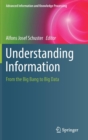 Image for Understanding Information : From the Big Bang to Big Data